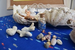 s-DSC_0185.jpg