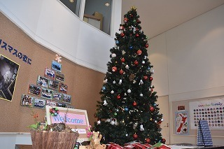 s-DSC_0338.jpg