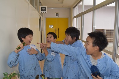 s-DSC_0884.jpg
