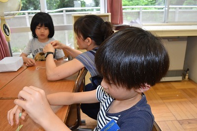 s-DSC_0900.jpg