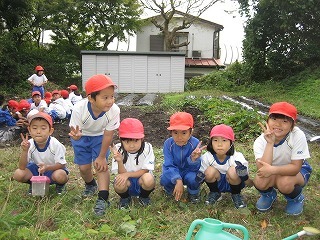 種まき.jpg