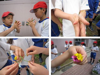 草遊び.jpg