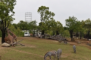 s-DSC_0138.jpg