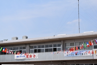 s-DSC_0600.jpg